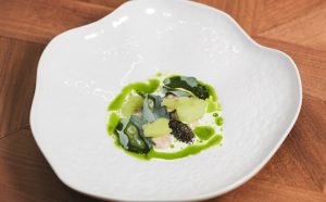 Procaccini Capodanno 2026