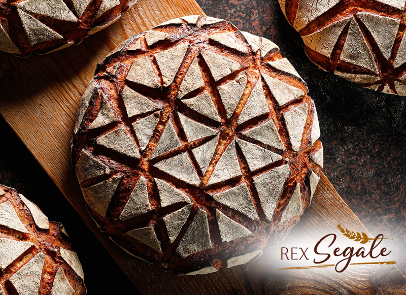 REX SEGALE, l’intensità autentica della segale