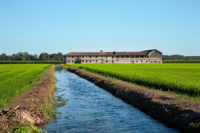 Lomellina Terra di Riso: il marchio che dà identità al riso italiano