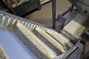 Lomellina Cascina Alberona confezionamento del riso ® Mesturini & Morelli