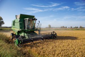 Lomellina trebbiatura riso ® Mesturini & Morelli