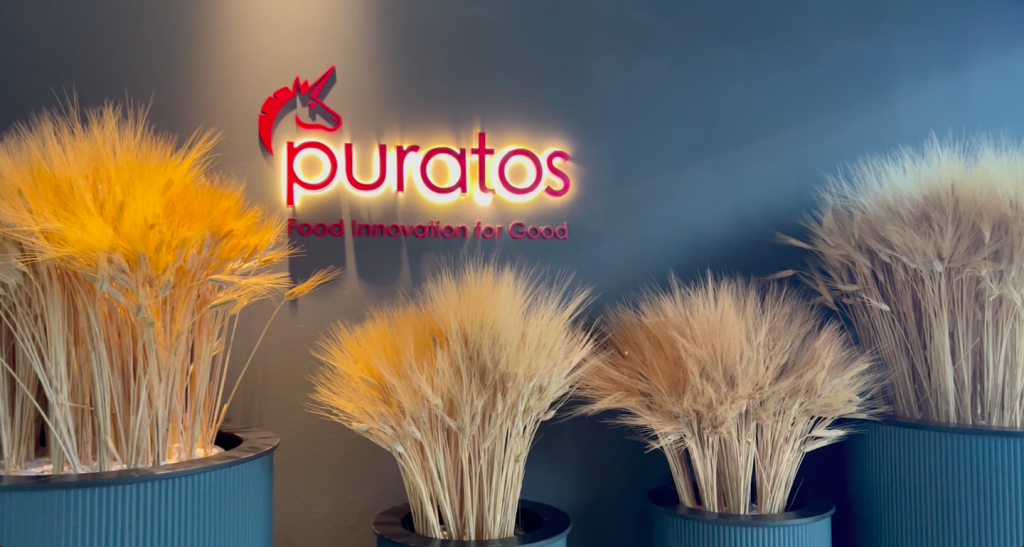 casilllo e puratos 2026