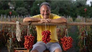 Pomodorino del Piennolo del Vesuvio DOP