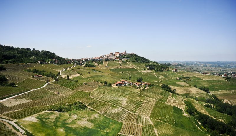 La forza del turismo enogastronomico: il “caso” Langhe e il Consorzio Albeisa