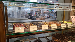 laboratorio Ziccat Torino cioccolato artigianale