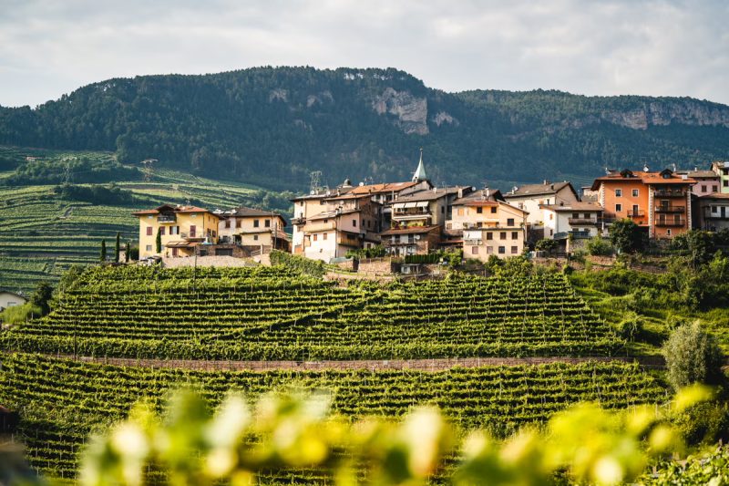 Trentodoc Festival 2026, tre giorni tra bollicine, cantine e cultura di montagna