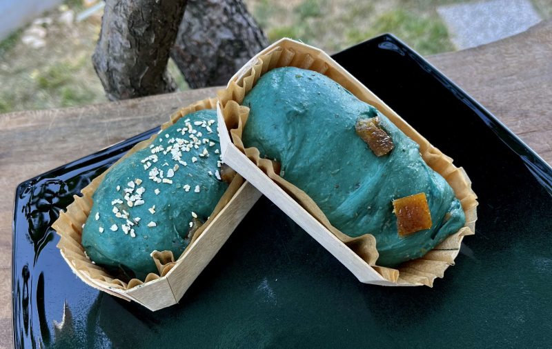 Texcoco, il dolce da viaggio con spirulina