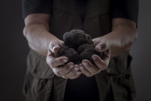 tartufo