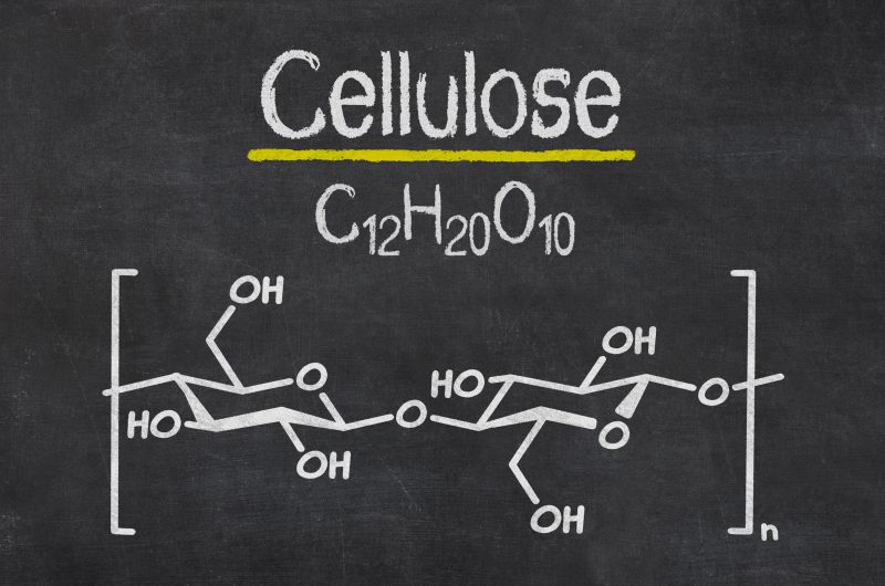 Cellulosa batterica: caratteristiche e applicazioni
