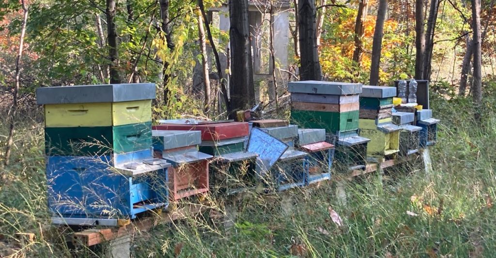 Responsabilità sociale d’impresa e per il territorio 