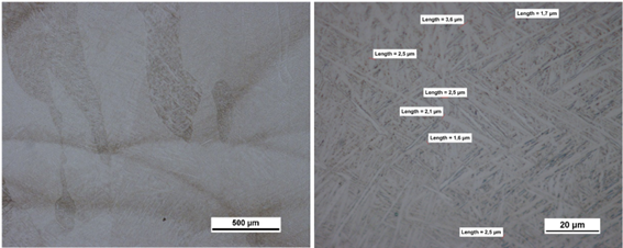 progetto Atila ingrandimento 50x e 1000x